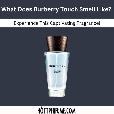 what does burberry blush smell like|Burberry fragrance for women reviews.